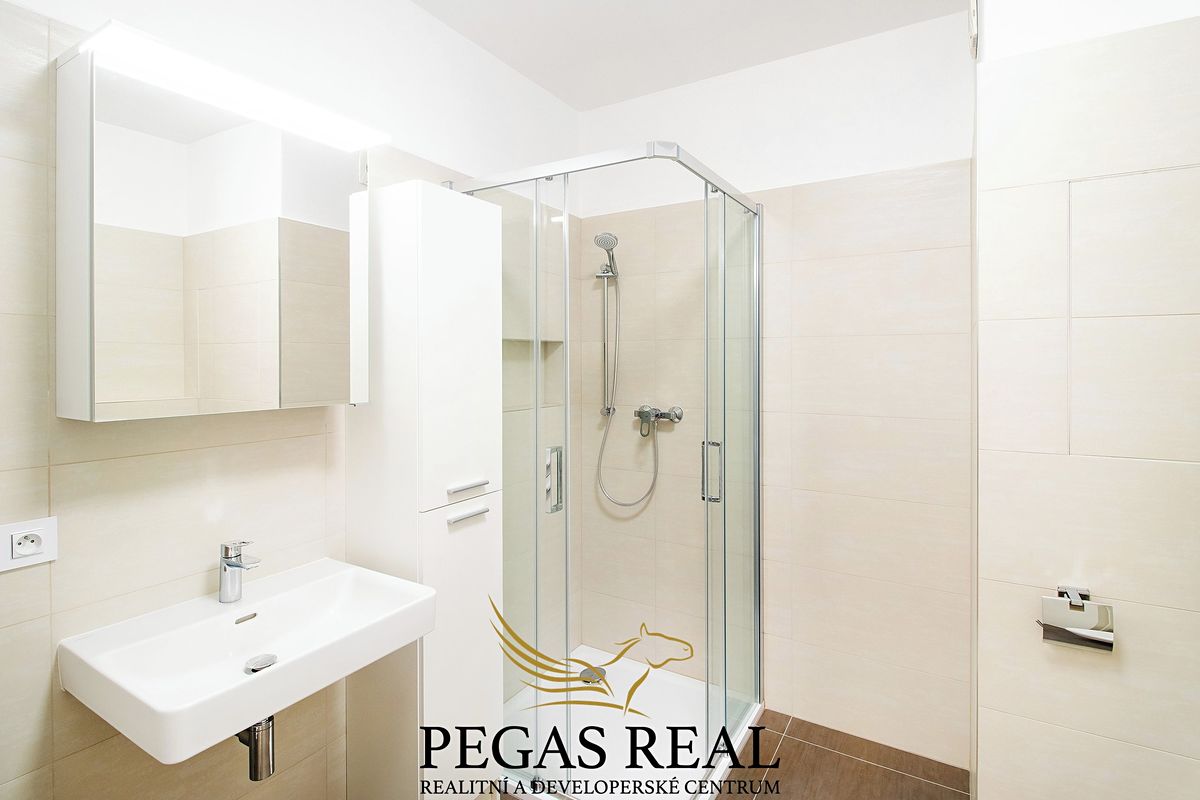 Pronájem bytu 1+kk 43 m² – fotografie 2