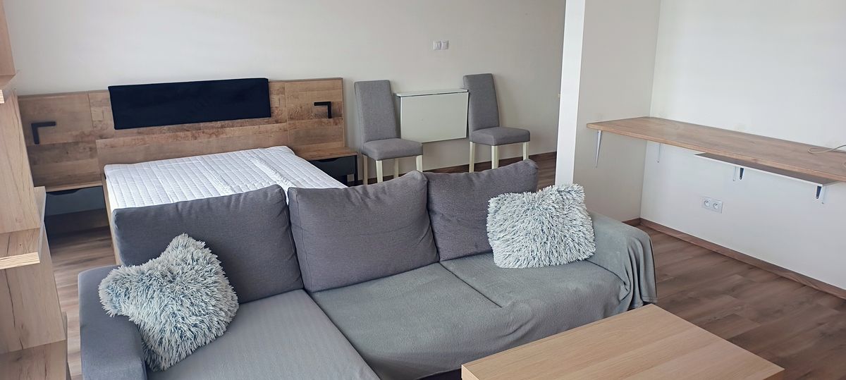 Pronájem bytu 1+kk 42 m² – fotografie 2