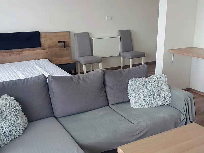 Pronájem bytu 1+kk 42 m², Plzeň – náhled fotky 2