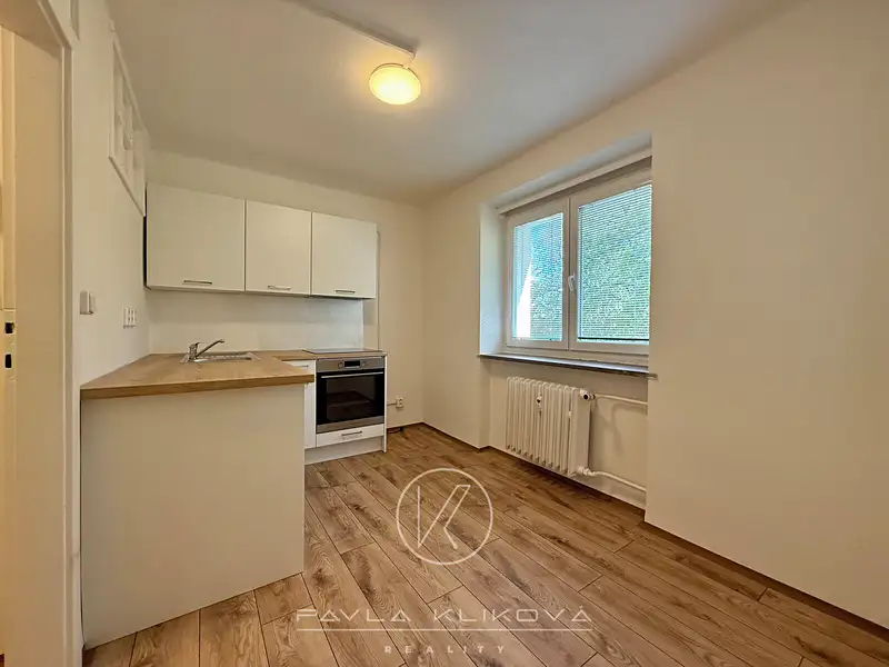 Pronájem bytu 1+1 28 m², Plzeň – náhled fotky 2