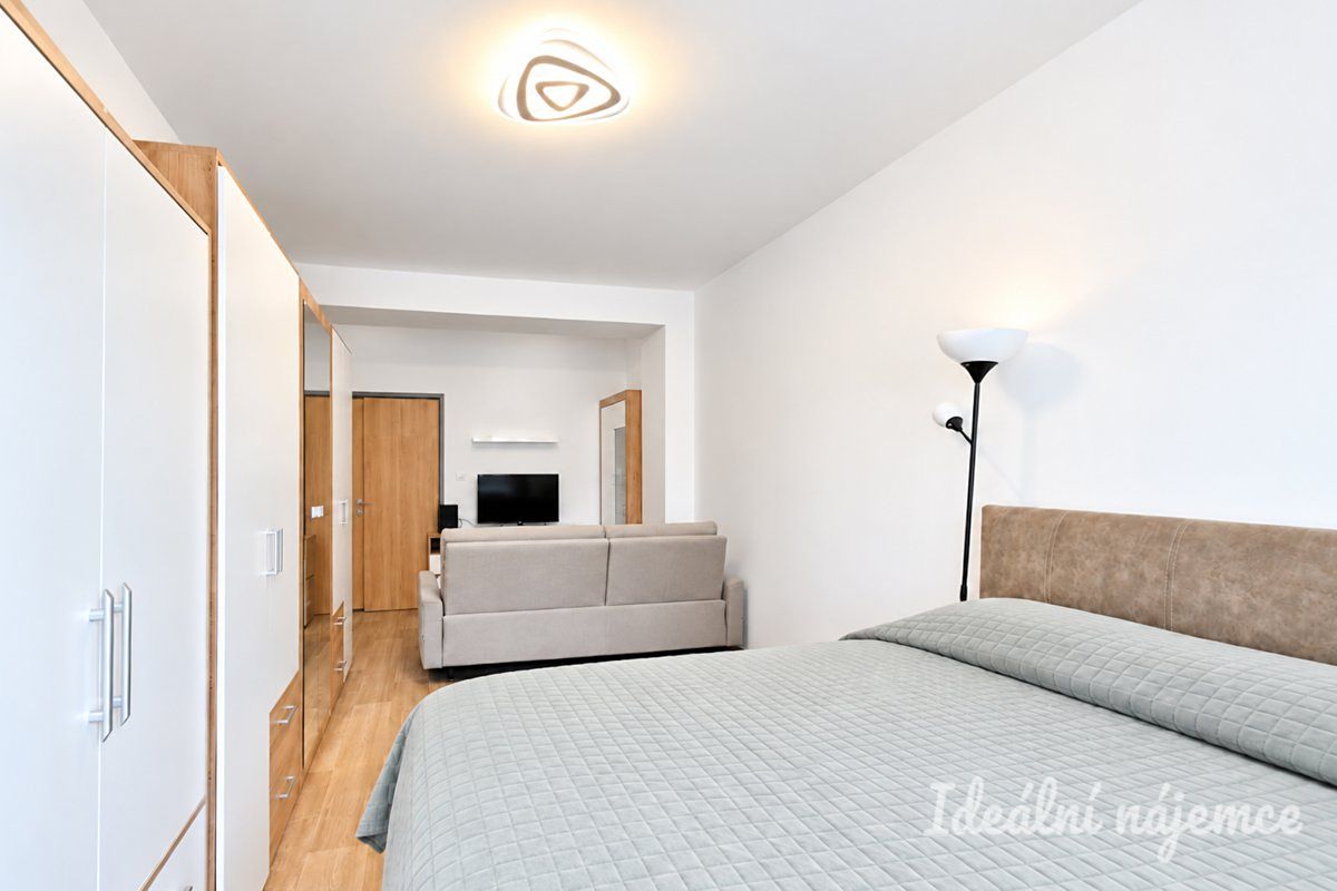 Pronájem bytu 2+1 54 m² – fotografie 5