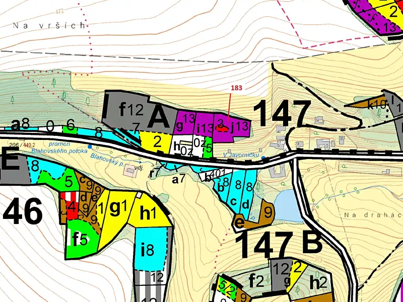 Dražba lesa 2475 m², Libecina – náhled fotky 3
