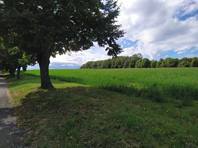 Prodej stavebního pozemku 1800 m²