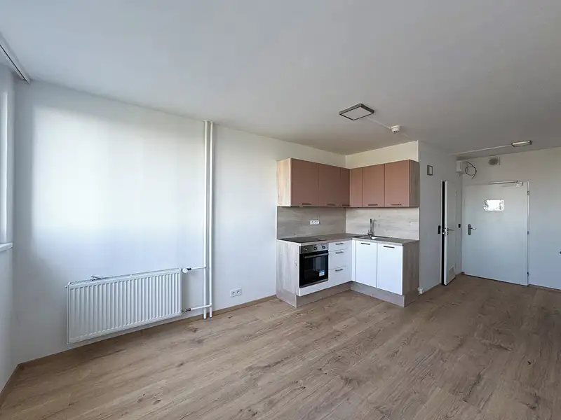 Pronájem bytu 1+kk 25 m², Praha – náhled fotky 1