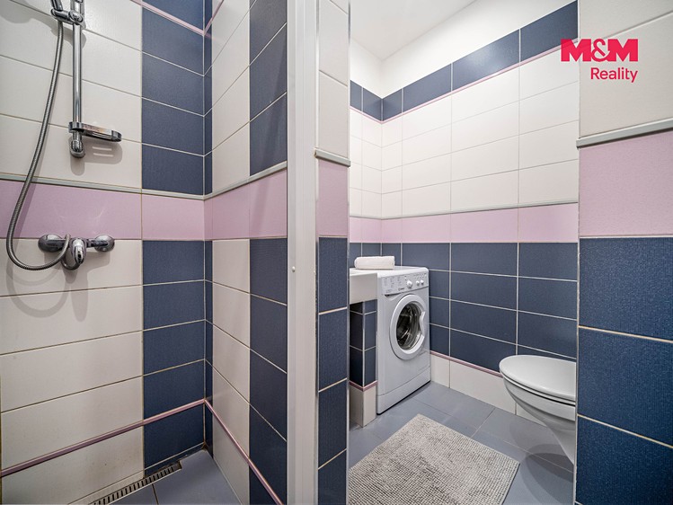 Prodej domu, 170 m² (8 z 30)