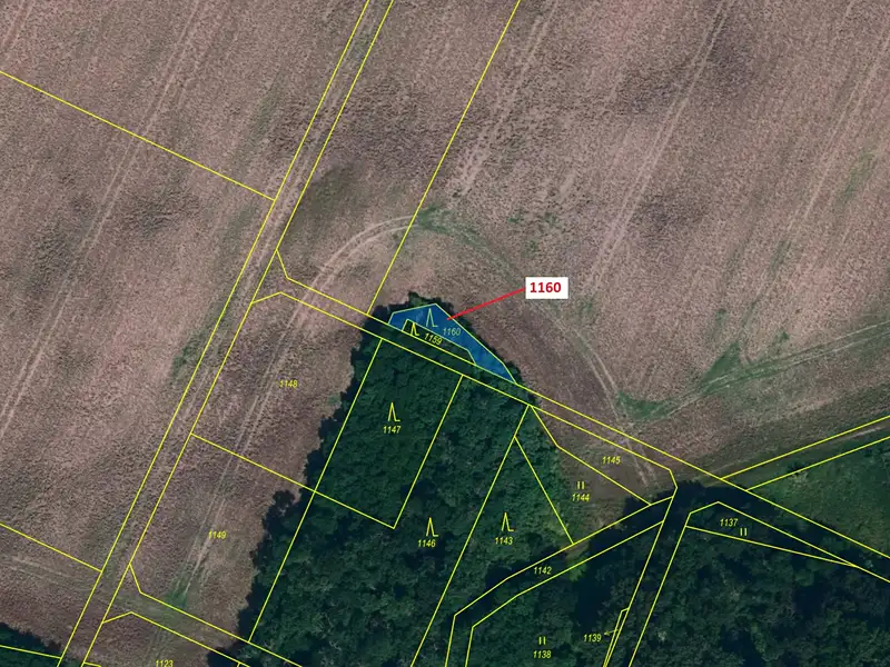 Dražba lesa 126 m², Čejkovice – náhled fotky 2