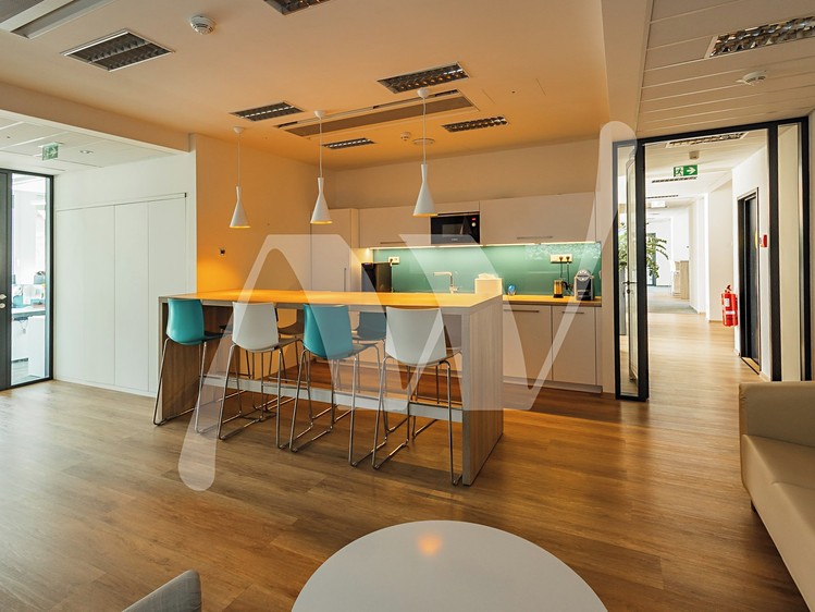 Pronájem komerčního prostoru, 537 m² (7 z 12)