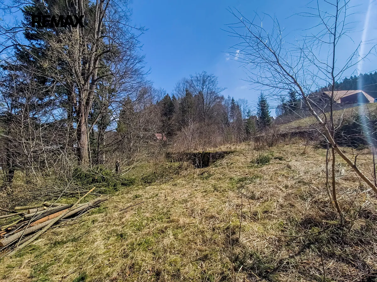 Fotka 11 z 25