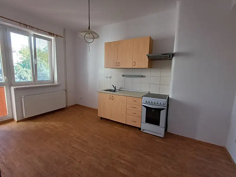 Pronájem bytu 2+kk, 50 m², Plzeň-město, Plzeň