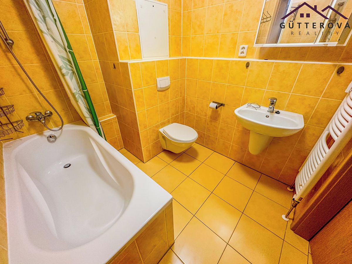 Pronájem bytu 1+kk 32 m² – fotografie 5