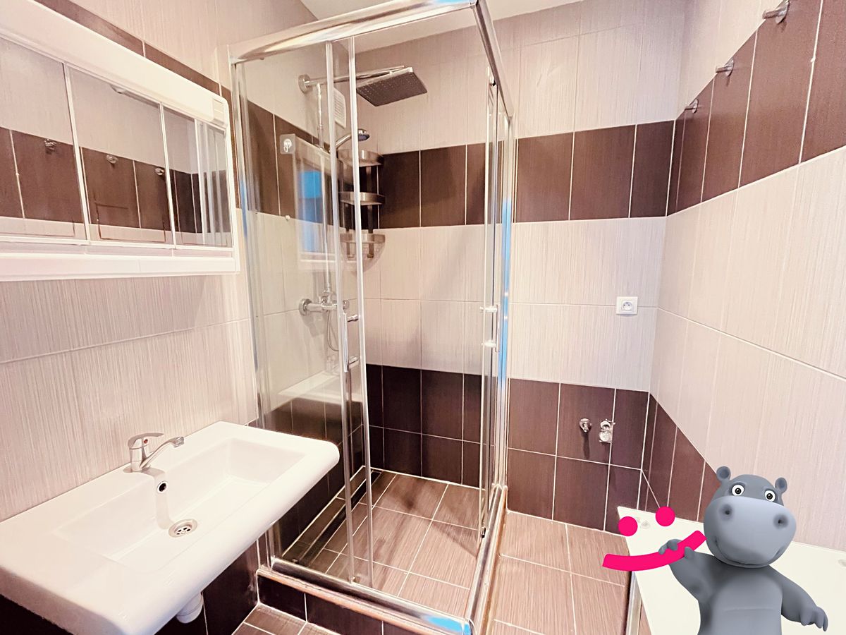 Pronájem bytu 3+1 68 m²