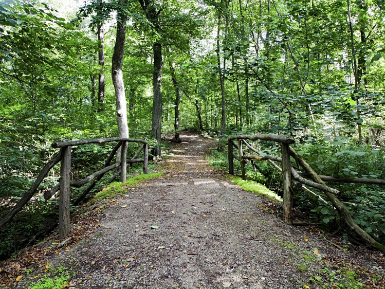 Ostatní