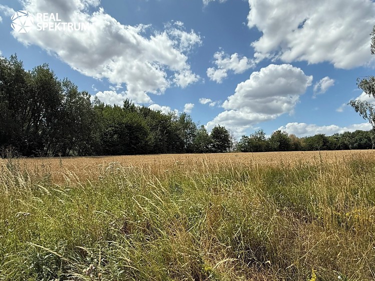 Prodej domu, 250 m² (8 z 14)