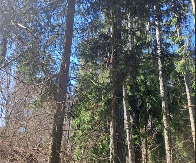 Grundstück zum Kauf, 424 m² (2 von 5)