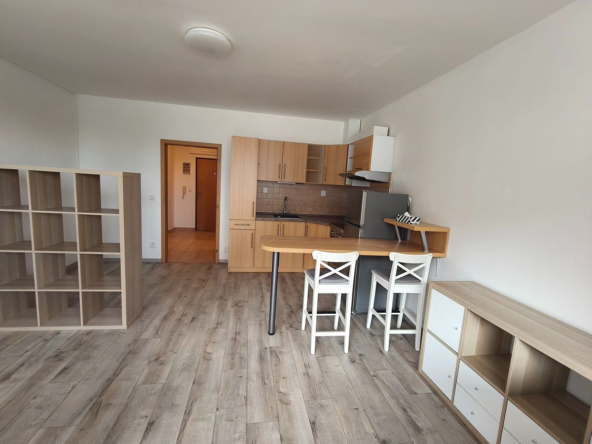 Pronájem bytu 1+kk 35 m²