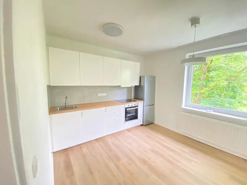 Pronájem bytu 3+1 75 m², Malá Morava – náhled fotky 1
