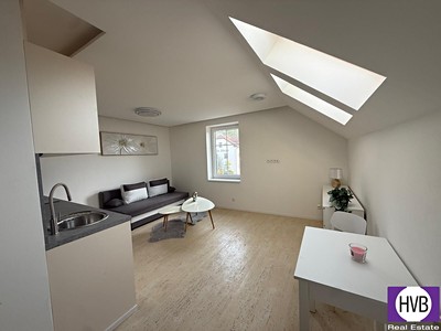 Wohnung 1+kk zum Kauf, 25 m² (2 von 10)