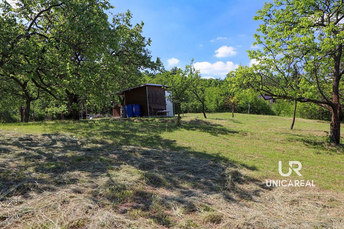Prodej sadu, vinice 3851 m²
