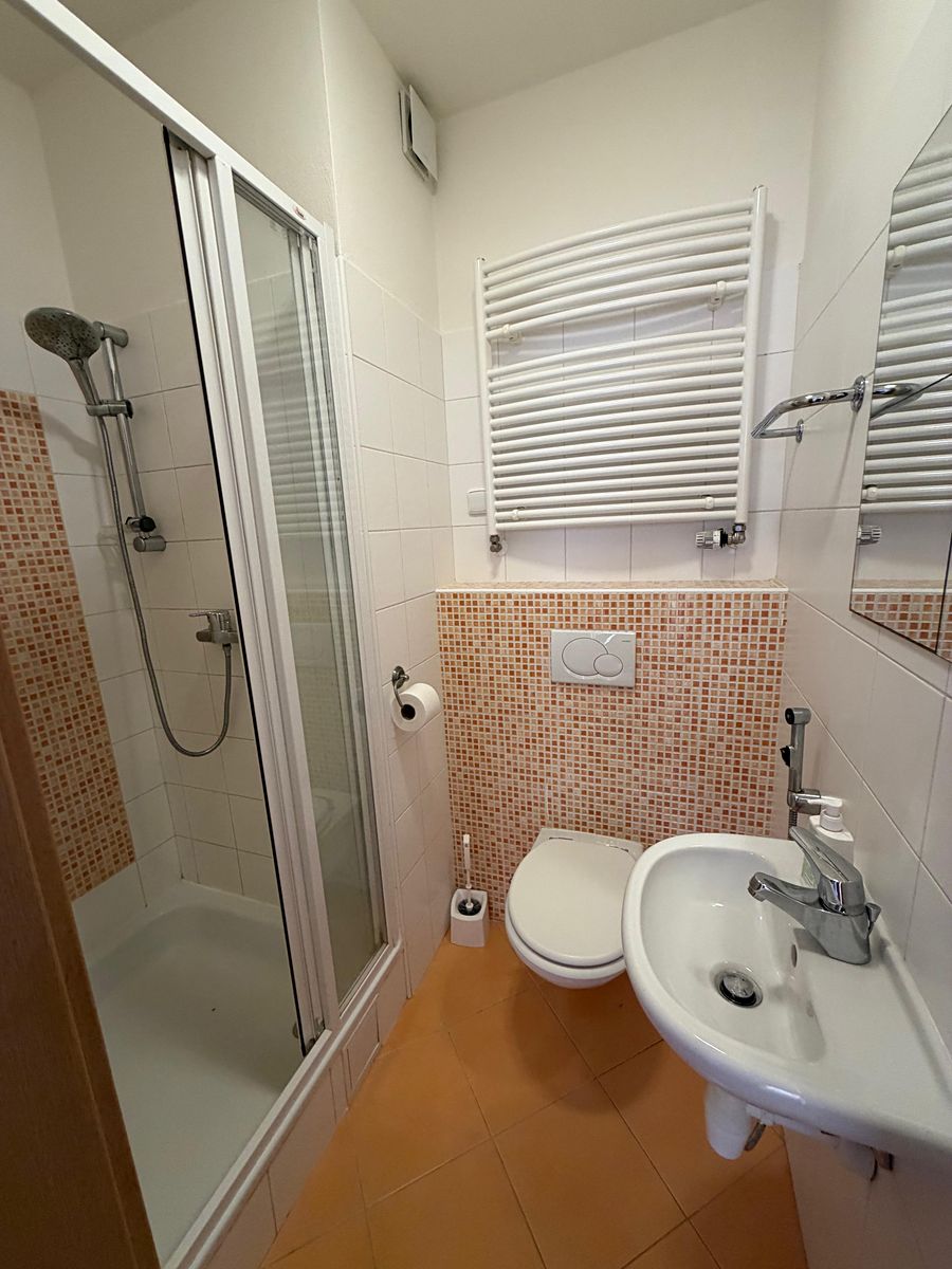 Pronájem rodinného domu 100 m², pozemek 660 m² – fotografie 5