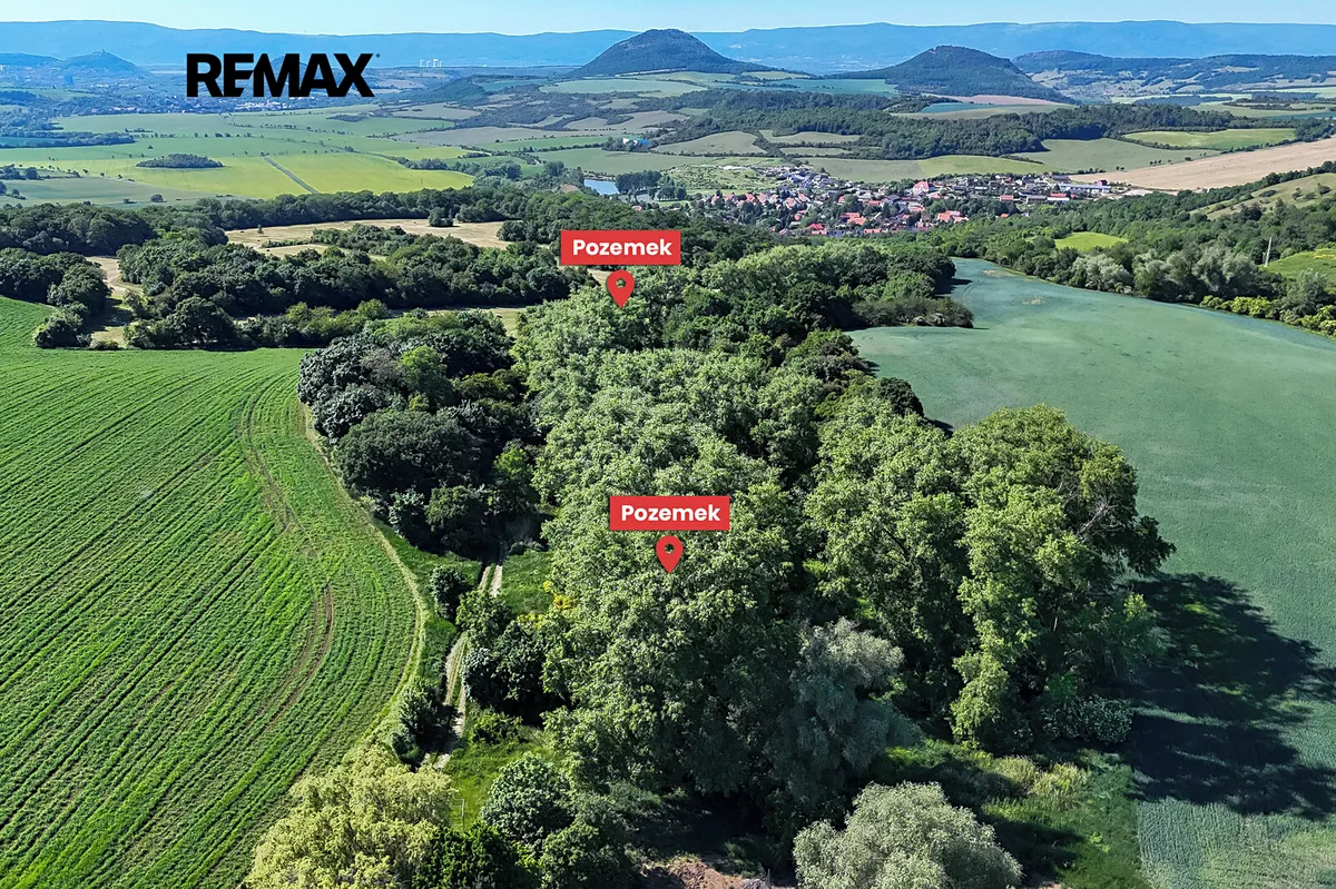 Prodej lesa 5841 m²