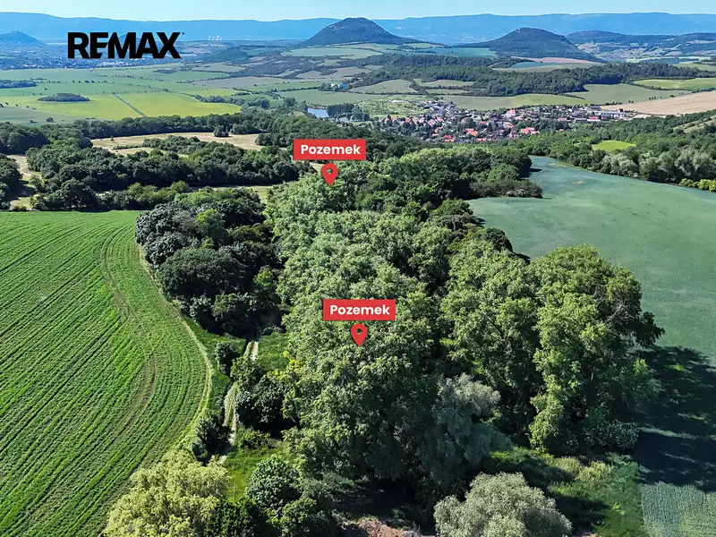Prodej lesa 5841 m², Skršín – náhled fotky 1