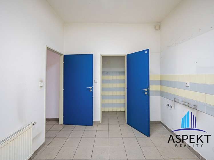 Комерційне приміщення в оренду, 224 м² (13 з 18)