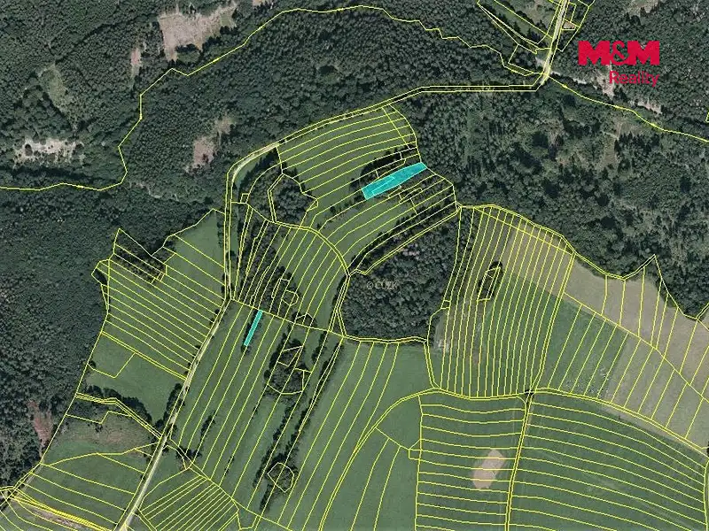 Prodej lesa 420 m², Vysoká – náhled fotky 3