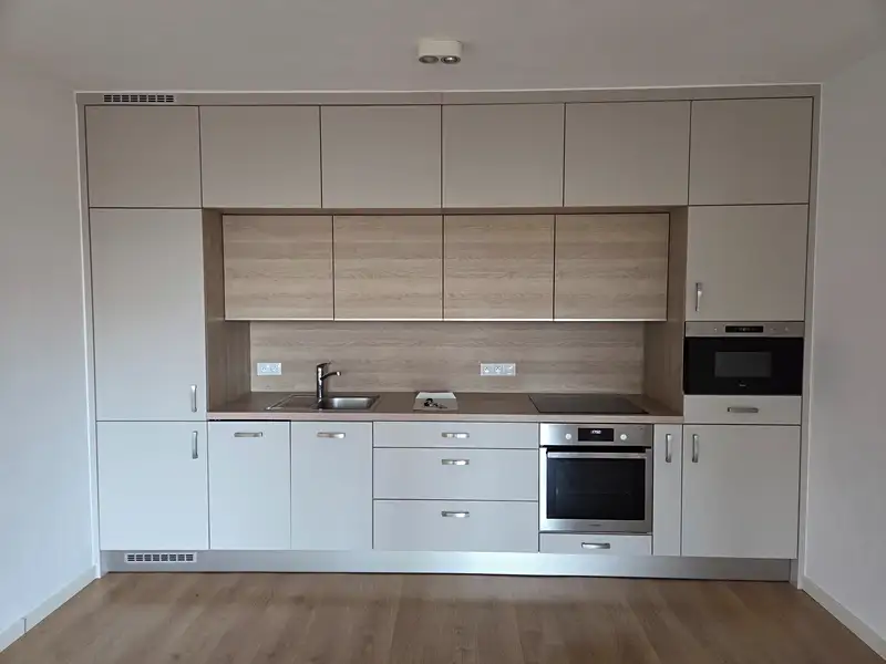 Pronájem bytu 2+kk 50 m², Plzeň – náhled fotky 3
