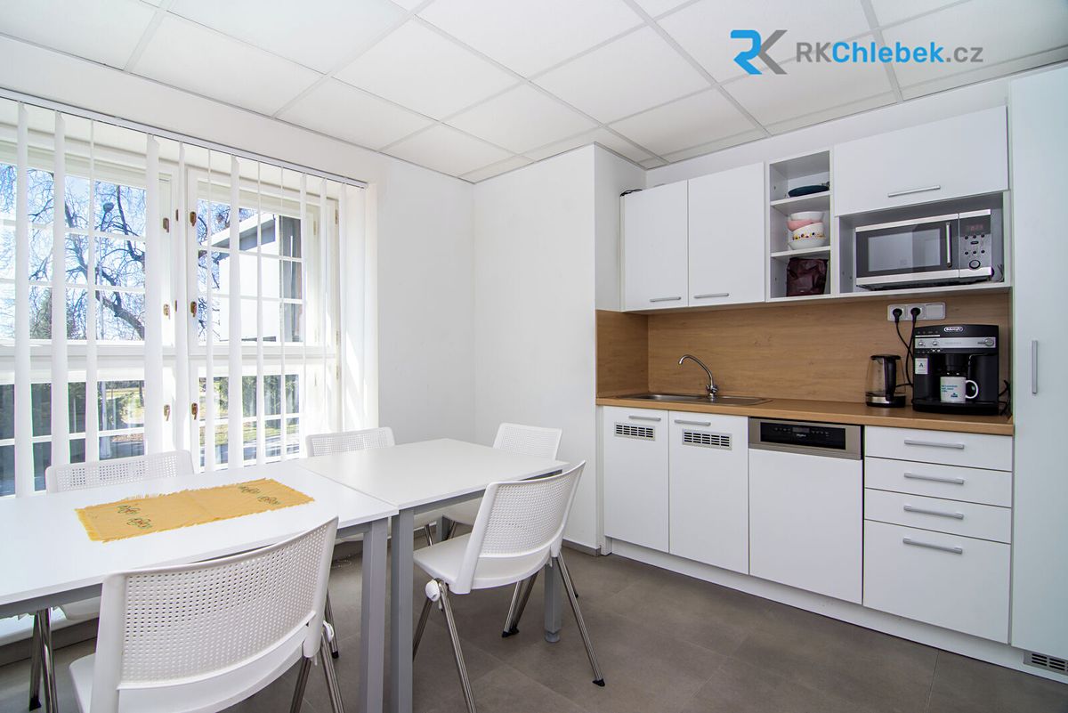 Pronájem obchodního prostoru 396 m² – fotografie 3