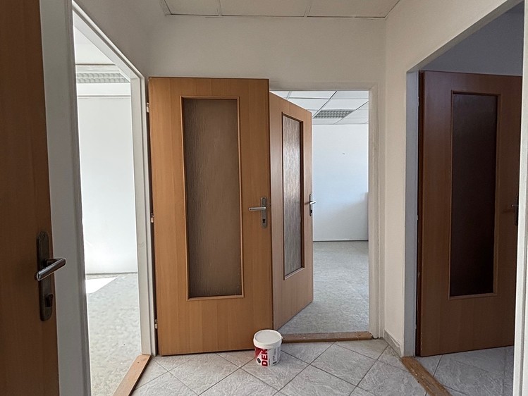 Pronájem komerčního prostoru, 300 m² (12 z 33)