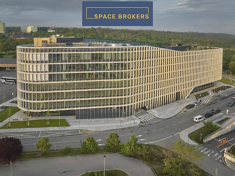 Комерційне приміщення в оренду, 1 659 м² (11 з 15)