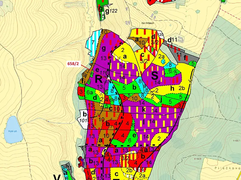 Dražba lesa 26622 m², Slavče – náhled fotky 3