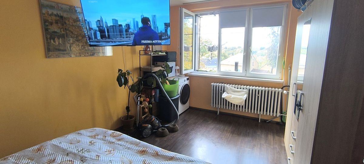 Pronájem bytu 1+1 36 m² – fotografie 4