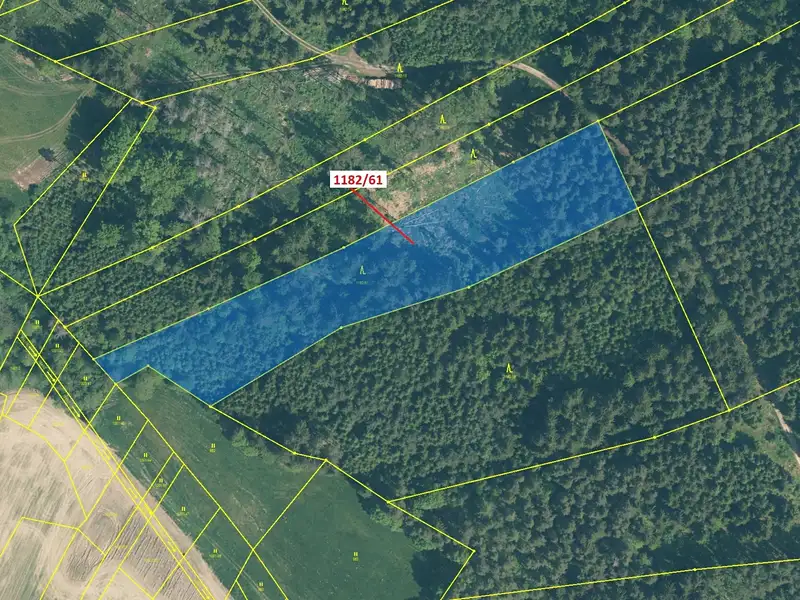 Dražba lesa 11119 m², Přeborov – náhled fotky 2