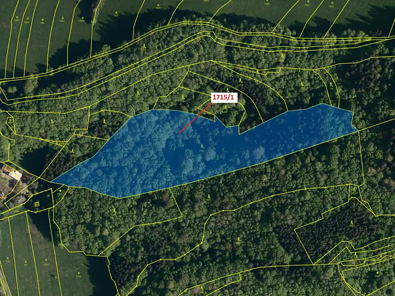 Dražba lesa 17552 m², Valašská Polanka – náhled fotky 2