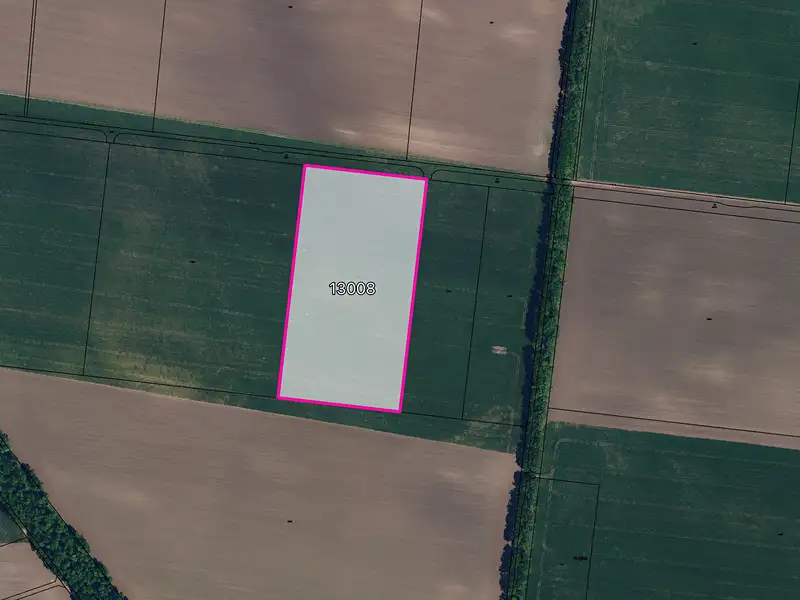 Prodej pole 33026 m², Hrušovany nad Jevišovkou – náhled fotky 1
