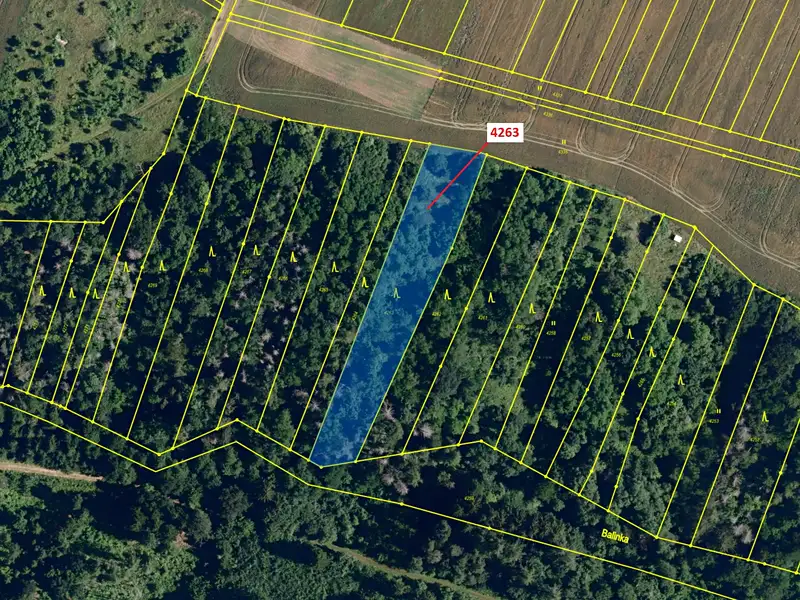 Dražba lesa 3481 m², Lukovany – náhled fotky 2
