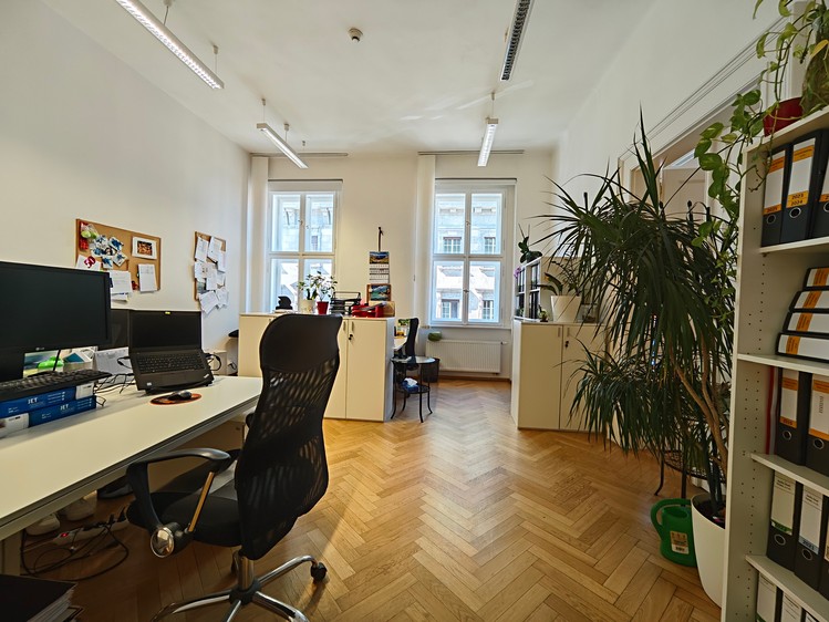 Pronájem komerčního prostoru, 373 m² (6 z 18)