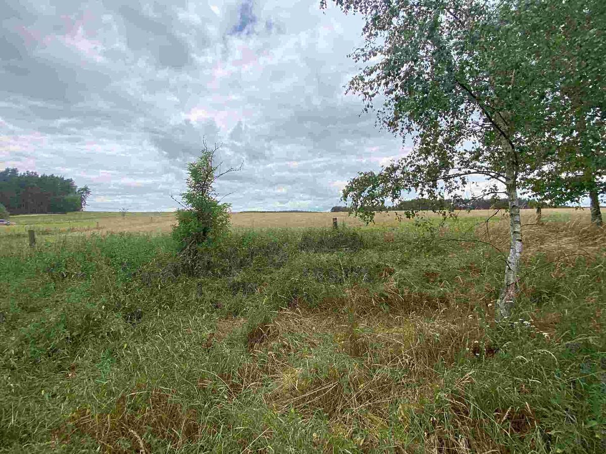 Prodej pozemku 2230 m² – fotografie 2
