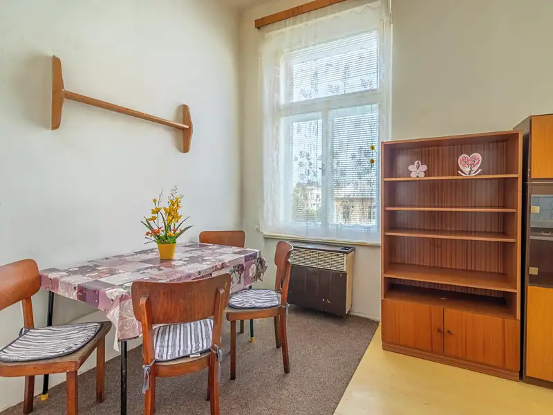 Pronájem bytu 1+1 50 m², Mladá Boleslav – náhled fotky 2