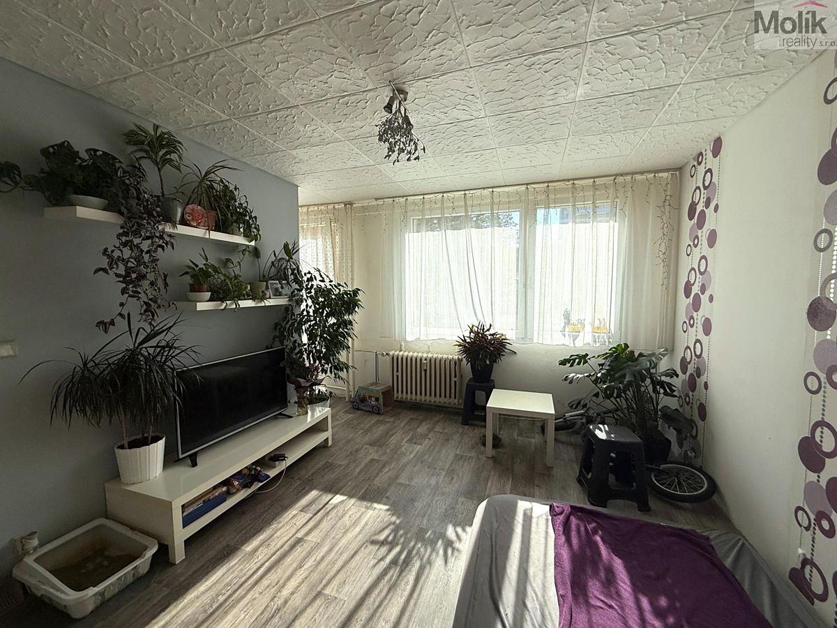 Pronájem bytu 1+1 26 m² – fotografie 2