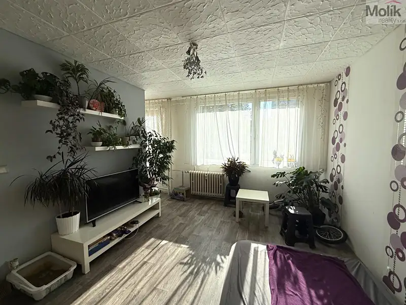 Pronájem bytu 1+1 26 m², Most – náhled fotky 2