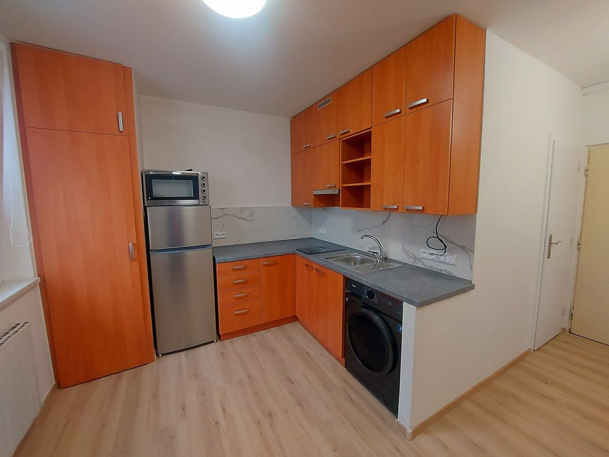 Pronájem bytu 1+1 35 m²