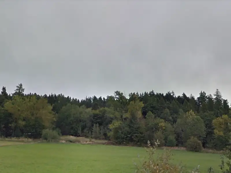 Prodej lesa 8007 m², Nový Jičín – náhled fotky 1