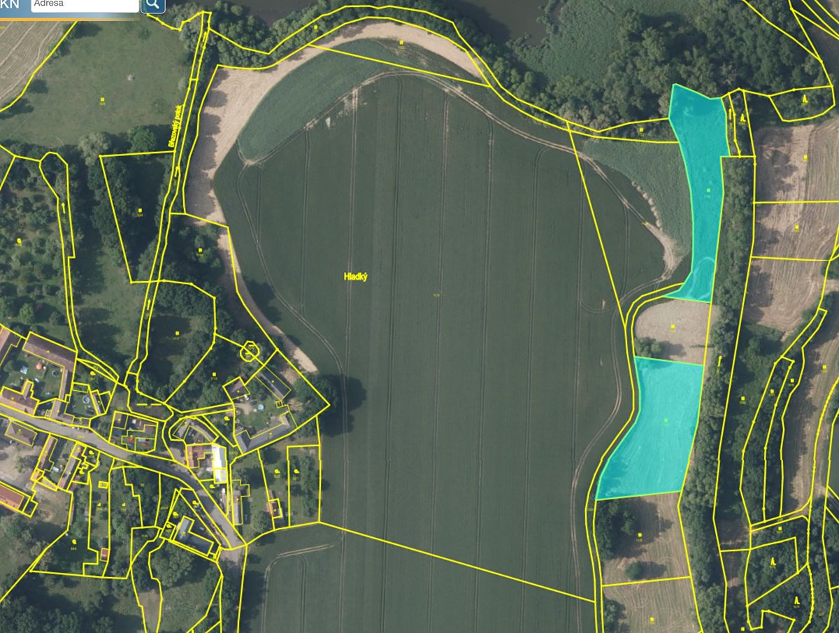 Prodej pole 7019 m² – fotografie 2
