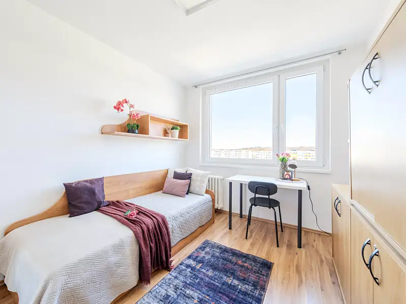 Pronájem bytu pokoje 16 m², Praha – náhled fotky 1