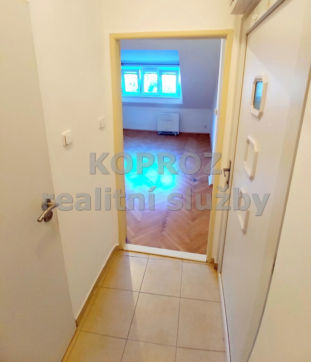 Pronájem bytu 1+kk 22 m² – fotografie 3