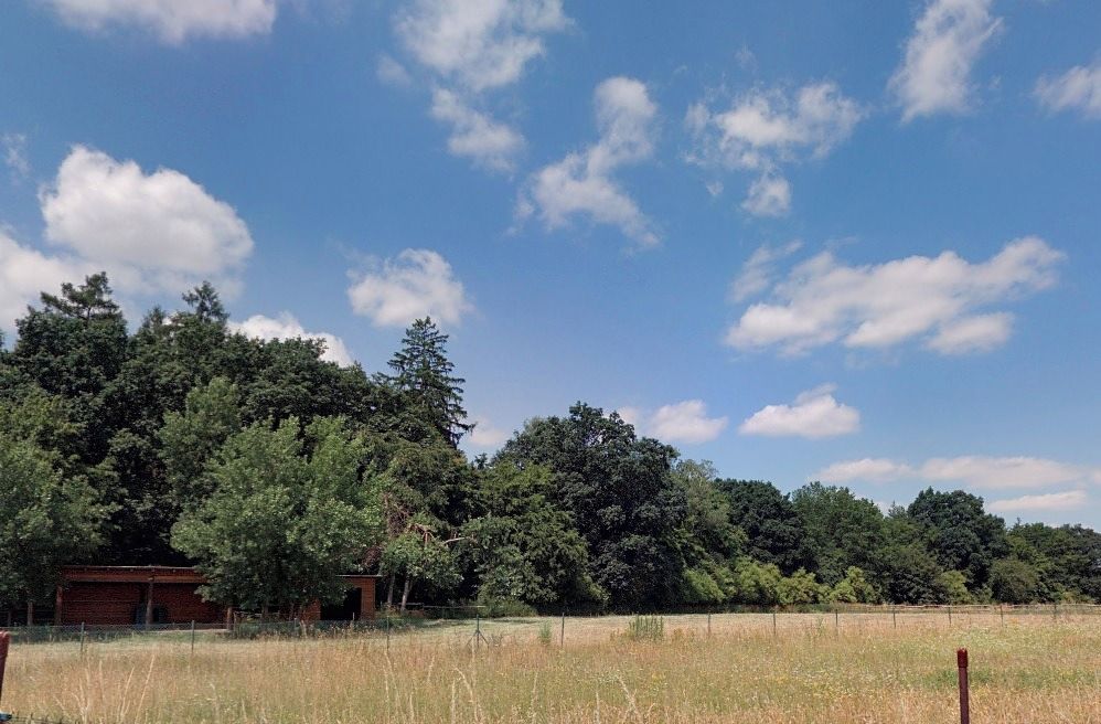 Prodej lesa 15479 m² – fotografie 3