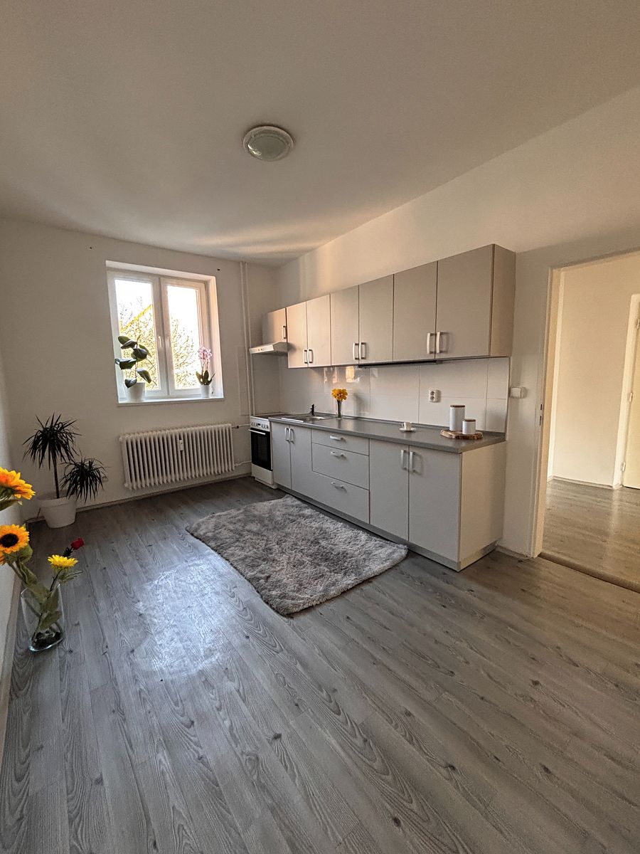 Pronájem bytu 1+1 47 m² – fotografie 2