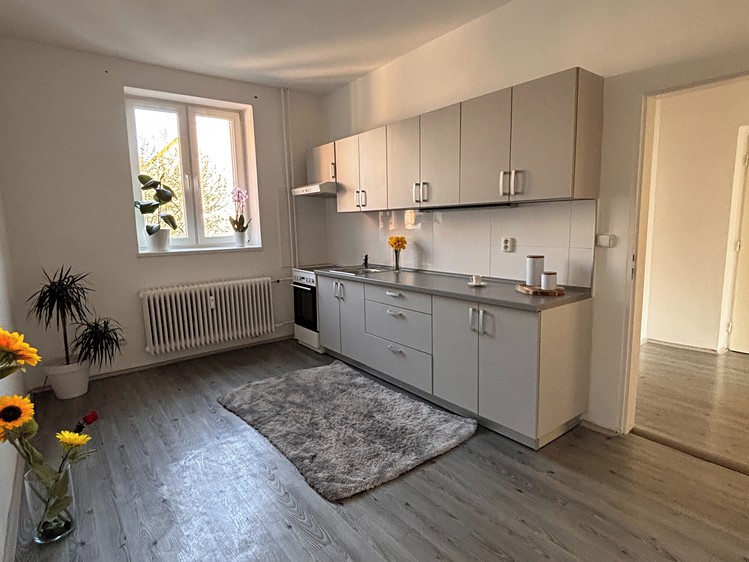 Pronájem bytu 1+1, 47 m² (2 z 9)